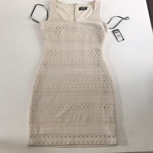 Form Fitting Lace Dress